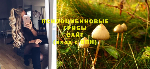 герыч Алексеевка
