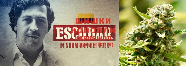 каннабис Алзамай